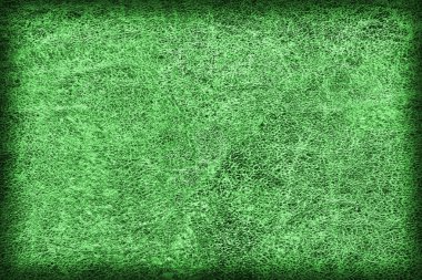 Eski zümrüt yeşil inek derisi Creasy kaba Vignette Grunge doku örneği