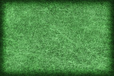 Eski zümrüt yeşil inek derisi Creasy kaba Vignette Grunge doku örneği