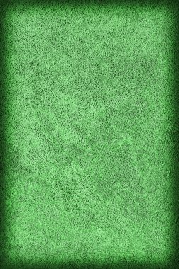 Eski zümrüt yeşili fotoğrafı yıpranmış, sığır derisi, Coar lekeli