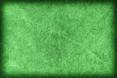 Eski zümrüt yeşili fotoğrafı yıpranmış, sığır derisi, Coar lekeli