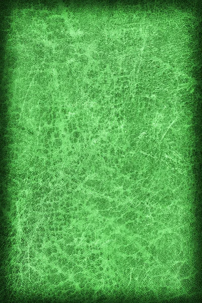 Stary szmaragdowo zielony skóry wołowej Creasy grubej winieta Grunge tekstury próbki — Zdjęcie stockowe