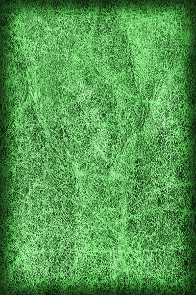 Старий Смарагдовий зелений коров'ячий кремовий грубий вігнет гранж текстури зразок — стокове фото
