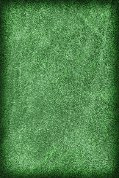 Stary szmaragdowo zielony skóry wołowej Creasy grubej winieta Grunge tekstury próbki — Zdjęcie stockowe