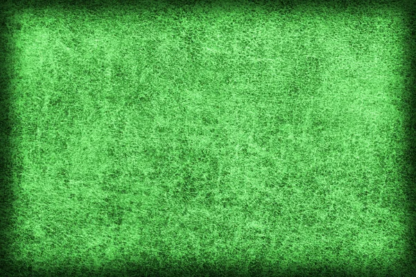 Oude Smaragd groene koeienhuid Creasy grof vignet Grunge textuur monster — Stockfoto