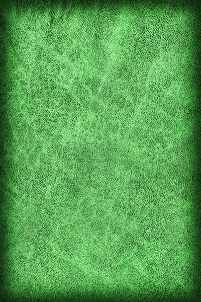Foto von altem smaragdgrün gefärbtem Rindsleder, verwittert, grob — Stockfoto