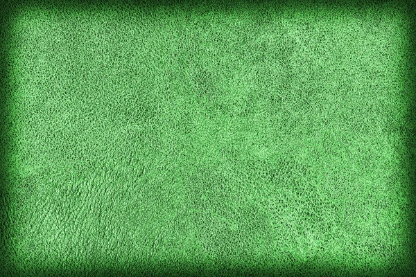 Photograph of Old Emerald Green Stained Cowhide, Weathered, Coar — Stock Photo, Image