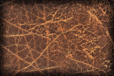 Eski doğal kahverengi sığır derisi Creasy kaba Vignette Grunge doku örneği