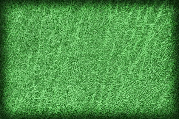 Old Emerald Green Cowhide Creasy Coarse Vignette Grunge Texture Sampl — Zdjęcie stockowe