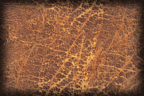 Velho natural marrom couro cru grosseiro vinheta grunge textura amostra — Fotografia de Stock