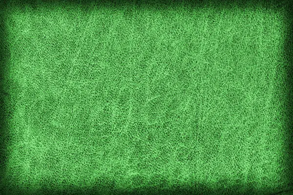 Old Emerald Green Cowhide Creasy Coarse Vignette Grunge Texture Sampl — Zdjęcie stockowe