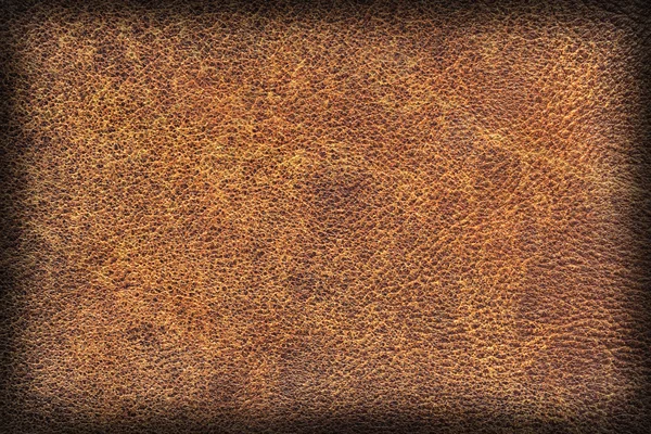 Образец натурального коричнево-коричневого жира грубого цвета — стоковое фото