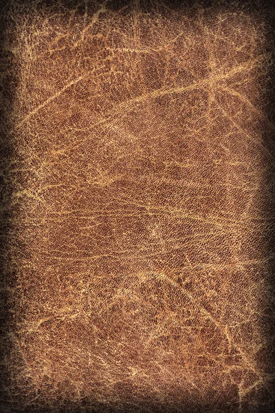 오래 된 자연 갈색 가죽 Creasy 거친 삽화 Grunge 텍스처 샘플 — 스톡 사진