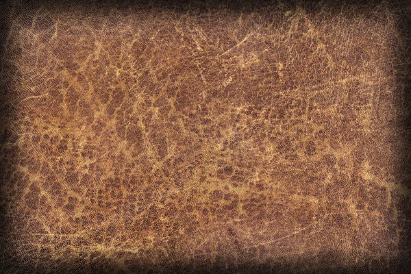 Viejo Natural Brown Cowhide Creasy Vignette gruesa Grunge Texture Sample — Foto de Stock