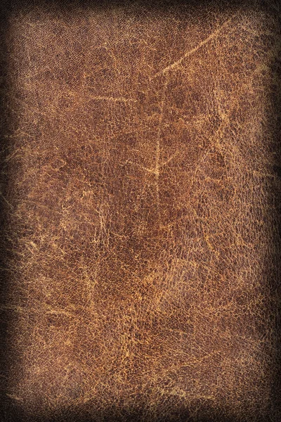 Viejo Natural Brown Cowhide Creasy Vignette gruesa Grunge Texture Sample —  Fotos de Stock