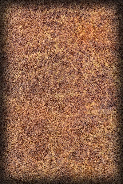 Eski doğal kahverengi sığır derisi Creasy kaba Vignette Grunge doku örneği — Stok fotoğraf