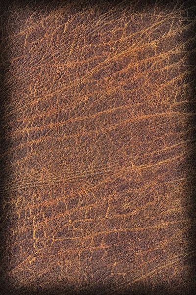 Старий природний коричневий коров'ячий кремовий грубий вігнет гранж текстури зразка — стокове фото