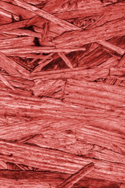 Sunta ön yüzü, ağartılmış ve kırmızı, kaba, ilave Coa lekeli