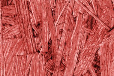 Sunta ön yüzü, ağartılmış ve kırmızı, kaba, ilave Coa lekeli