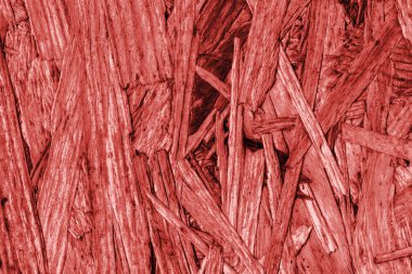 Sunta ön yüzü, ağartılmış ve kırmızı, kaba, ilave Coa lekeli