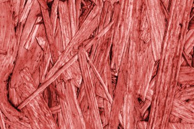 Sunta ön yüzü, ağartılmış ve kırmızı, kaba, ilave Coa lekeli