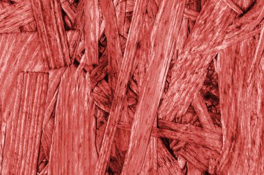 Sunta ön yüzü, ağartılmış ve kırmızı, kaba, ilave Coa lekeli