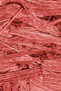 Sunta ön yüzü, ağartılmış ve kırmızı, kaba, ilave Coa lekeli