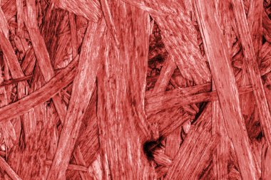 Sunta ön yüzü, ağartılmış ve kırmızı, kaba, ilave Coa lekeli