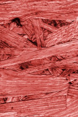 Sunta ön yüzü, ağartılmış ve kırmızı, kaba, ilave Coa lekeli