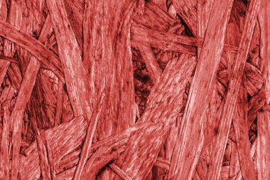 Sunta ağartılmış ve kırmızı lekeli kaba doku