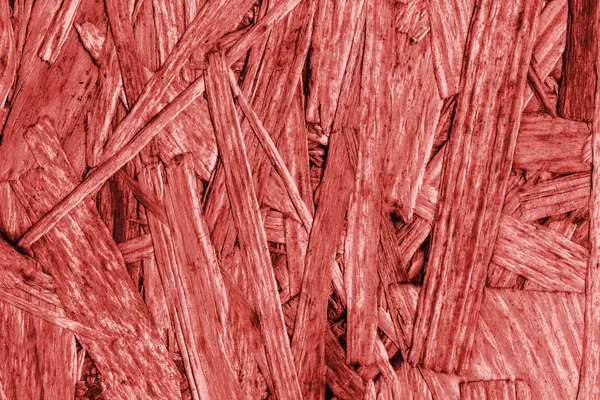 Sunta ön yüzü, ağartılmış ve kırmızı, kaba, ilave Coa lekeli