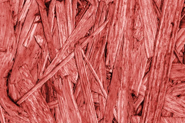 Sunta ön yüzü, ağartılmış ve kırmızı, kaba, ilave Coa lekeli