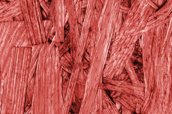 Sunta ön yüzü, ağartılmış ve kırmızı, kaba, ilave Coa lekeli