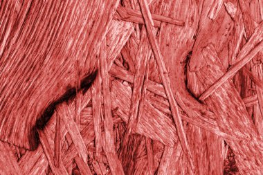 Sunta ağartılmış ve kırmızı lekeli kaba doku