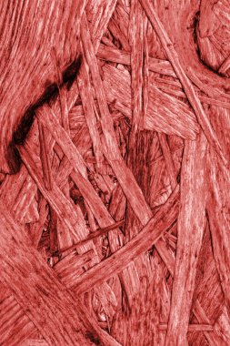 Sunta ağartılmış ve kırmızı lekeli kaba doku