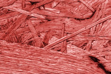 Sunta ağartılmış ve kırmızı lekeli kaba doku