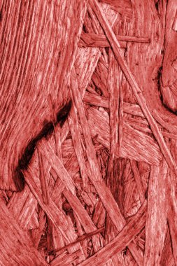 Sunta ağartılmış ve kırmızı lekeli kaba doku