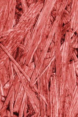 Sunta ağartılmış ve kırmızı lekeli kaba doku