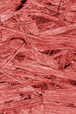 Sunta ağartılmış ve kırmızı lekeli kaba doku