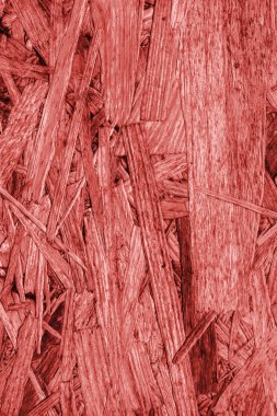 Sunta ağartılmış ve kırmızı lekeli kaba doku