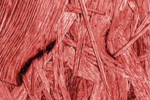 Sunta ağartılmış ve kırmızı lekeli kaba doku