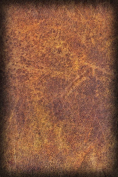 Viejo Natural Brown Cowhide Creasy Vignette gruesa Grunge Texture Sample — Foto de Stock