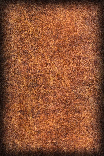 Viejo Natural Brown Cowhide Creasy Vignette gruesa Grunge Texture Sample —  Fotos de Stock