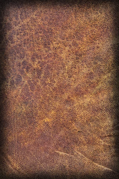 Oude natuurlijke bruin koeienhuid Creasy grof vignet Grunge textuur monster — Stockfoto