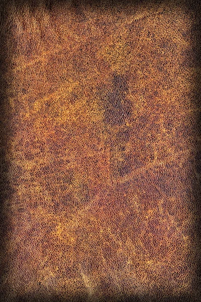 Viejo Natural Brown Cowhide Creasy Vignette gruesa Grunge Texture Sample — Foto de Stock