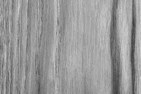 Natural Oak Wood Bleached and Stained Gray Grunge Texture Sample — Stock Photo, Image