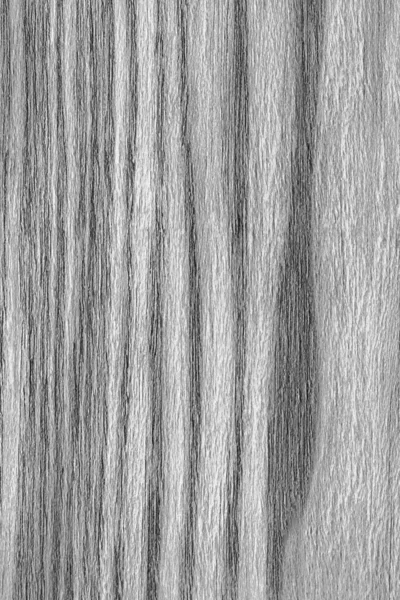 Naturlig ek blekta och missfärgade grå Grunge konsistens prov — Stockfoto