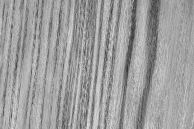 Doğal meşe ahşap ağartılmış ve gri Grunge doku örneği lekeli