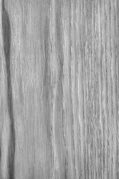 Naturalne drewno dębowe wybielone i barwiony szary szorstki tekstura próbki — Zdjęcie stockowe