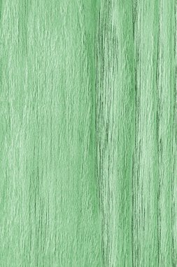 Meşe ahşap ağartılmış ve lekeli soluk yeşil Grunge doku örneği