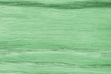 Meşe ahşap ağartılmış ve lekeli soluk yeşil Grunge doku örneği